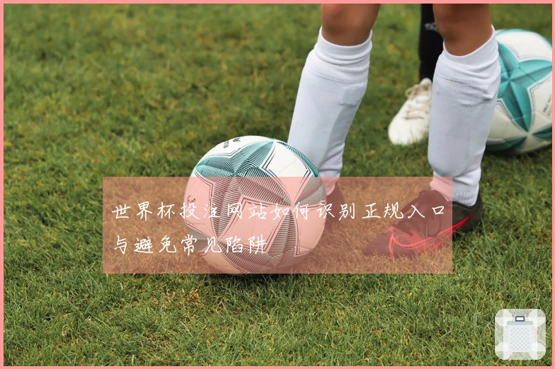 世界杯投注网站如何识别正规入口与避免常见陷阱