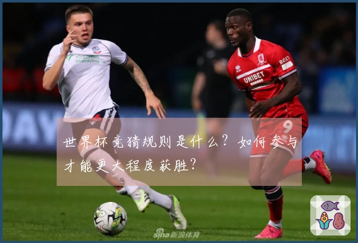 世界杯竞猜规则是什么？如何参与才能更大程度获胜？