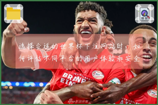 选择合适的世界杯下注网站时,如何评估不同平台的用户体验和安全性?