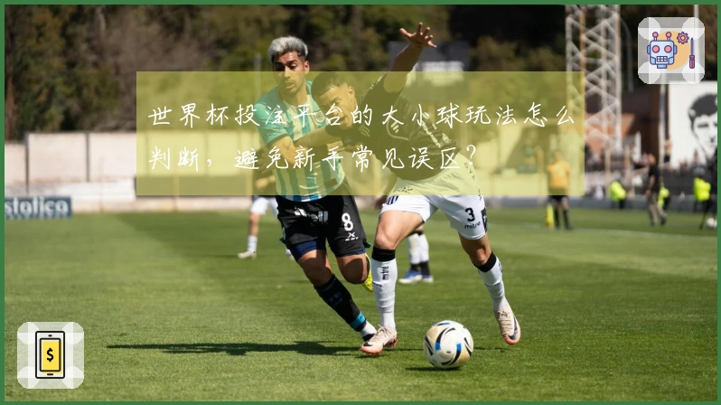 世界杯投注平台的大小球玩法怎么判断，避免新手常见误区？