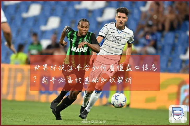 世界杯投注平台如何看懂盘口信息？新手必备的基础知识解析