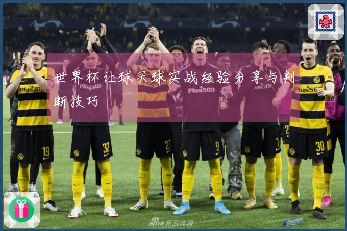 世界杯让球买球实战经验分享与判断技巧