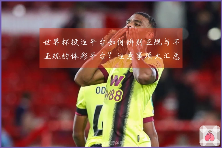 世界杯投注平台如何辨别正规与不正规的体彩平台?注意事项大汇总