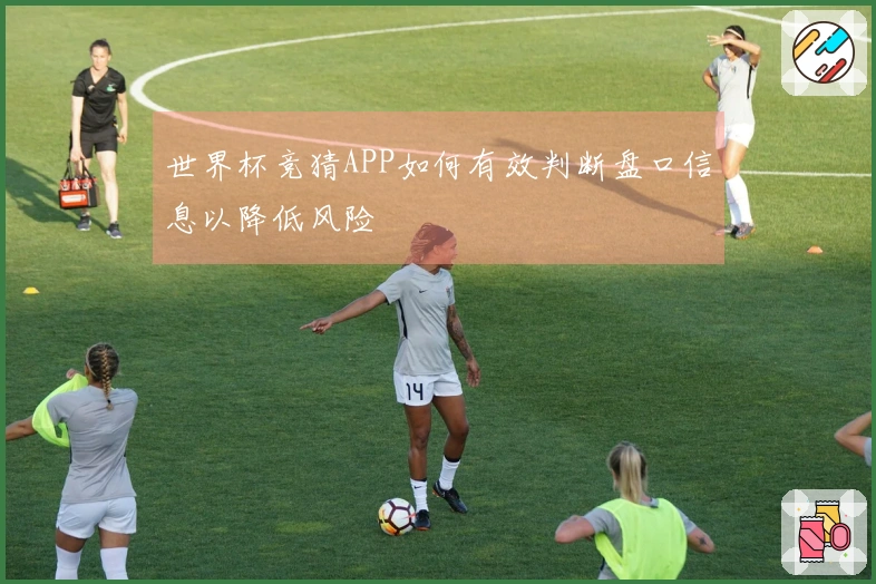 世界杯竞猜APP如何有效判断盘口信息以降低风险