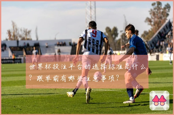 世界杯投注平台的选择标准是什么?跟单前有哪些注意事项?